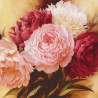  Оттенки розового Раскраска картина по номерам на холсте KH0390