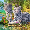 Семейство белых тигров Раскраска картина по номерам на холсте