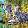  Семейство белых тигров Раскраска картина по номерам на холсте KH0367
