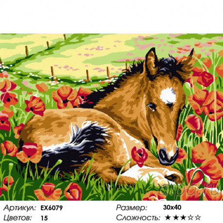 Сложность и количество цветов Жеребёнок среди цветов Раскраска картина по номерам на холсте EX6079