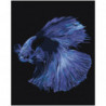 Голубая рыбка 80х100 Раскраска картина по номерам на холсте