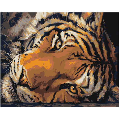 Голова тигра 80х100 Раскраска картина по номерам на холсте