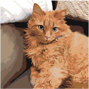 Рыжий кот на диване 80х80 Раскраска картина по номерам на холсте