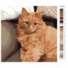 Рыжий кот на диване 80х80 Раскраска картина по номерам на холсте