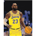 LA Lakers Раскраска картина по номерам на холсте