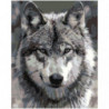 Серый волк 100х125 Раскраска картина по номерам на холсте
