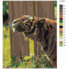 Тигр 80х100 Раскраска картина по номерам на холсте