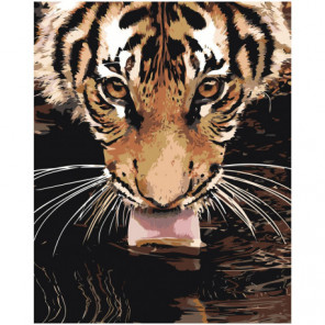 Лакающий тигр Раскраска картина по номерам на холсте