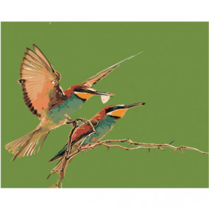 Птицы 80х100 Раскраска картина по номерам на холсте