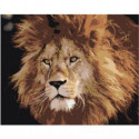 Брутальный лев 100х125 Раскраска картина по номерам на холсте