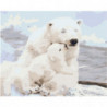 Белая медведица и медвежонок Раскраска картина по номерам на холсте