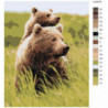 Бурые медведи в поле 80х100 Раскраска картина по номерам на холсте