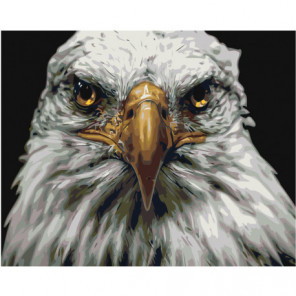 Голова орла 80х100 Раскраска картина по номерам на холсте