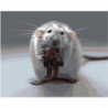 Мышонок с мишкой 100х125 Раскраска картина по номерам на холсте