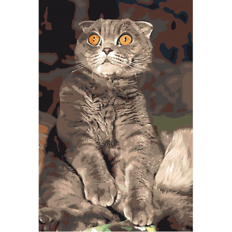 Удивленный кот 80х120 Раскраска картина по номерам на холсте
