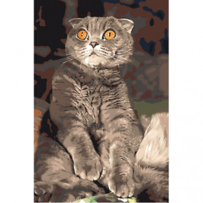 Удивленный кот 100х150 Раскраска картина по номерам на холсте