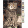 Удивленный кот 100х150 Раскраска картина по номерам на холсте