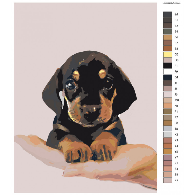 Раскраски Собачка | Распечатать ебсплатно