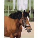 Гнедой конь 100х125 Раскраска картина по номерам на холсте