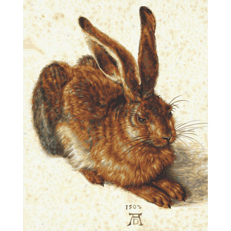  Заяц по мотивам Альбрехта Дюрера Раскраска картина по номерам Schipper (Германия) 9130809