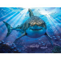 Большая белая акула Super 3D пазлы с эффектом трехмерного объемного изображения