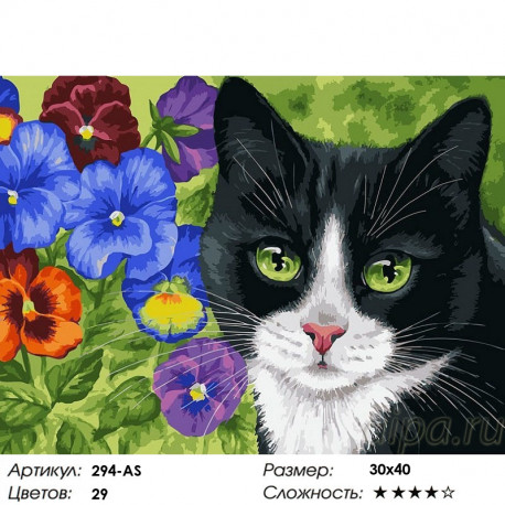 Сложность и количество цветов Кот в анютиных глазках Раскраска картина по номерам на холсте Белоснежка 294-AS