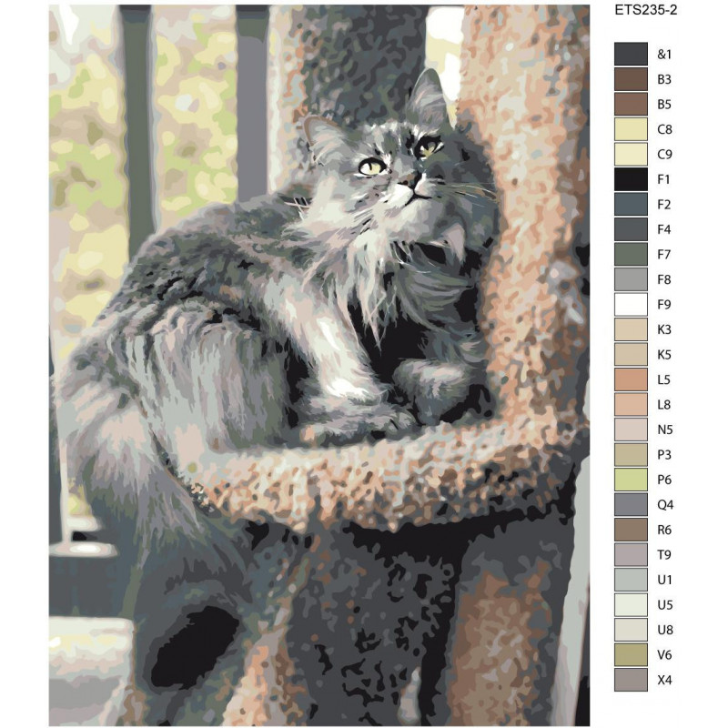Пушистый серый кот 75х100 Раскраска картина по номерам на холсте  ETS235-2-75x100 купить в Москве и СПб