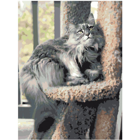 Пушистый серый кот Раскраска картина по номерам на холсте
