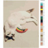 Игривый белый котик 60х80 Раскраска картина по номерам на холсте