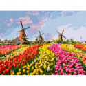 Разноцветное поле тюльпанов Раскраска картина по номерам на холсте