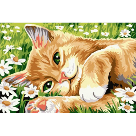 Рыжий котик в ромашках Раскраска картина по номерам на холсте