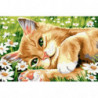 Рыжий котик в ромашках Раскраска картина по номерам на холсте