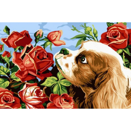 Пес и аромат роз Раскраска картина по номерам на холсте