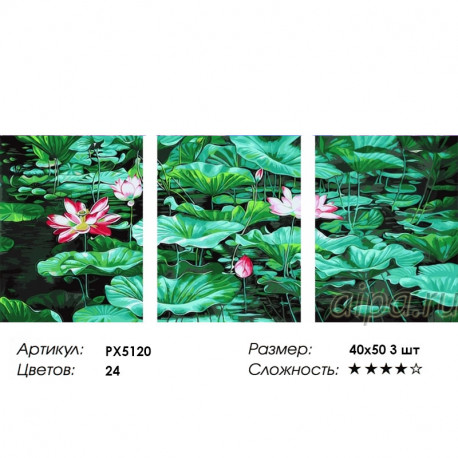Сложность и количество цветов Кувшинки Триптих Раскраска картина по номерам на холсте PX5120