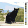 Черный кот Раскраска картина по номерам на холсте