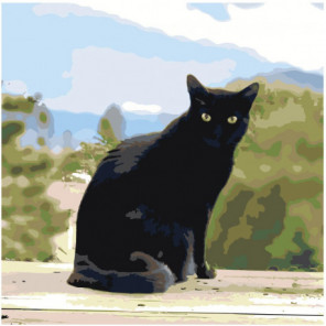 Черный кот 100х100 Раскраска картина по номерам на холсте