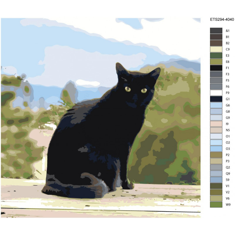 Раскраска черный кот - 70 фото