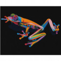 Радужная лягушка 80х100 Раскраска картина по номерам на холсте