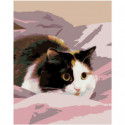 Пугливая кошка 100х125 Раскраска картина по номерам на холсте