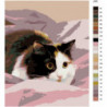 Пугливая кошка 100х125 Раскраска картина по номерам на холсте