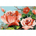 Кустовая роза Раскраска картина по номерам на холсте