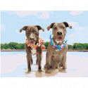 Две собаки на пляже 75х100 Раскраска картина по номерам на холсте