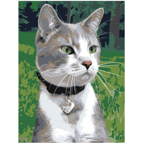 Котик с ошейником Раскраска картина по номерам на холсте
