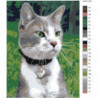 Котик с ошейником 60х80 Раскраска картина по номерам на холсте