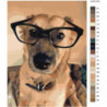 Собака в очках 75х100 Раскраска картина по номерам на холсте