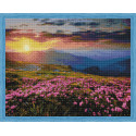  Цветущее поле на закате Алмазная мозаика на подрамнике QA204010