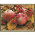 Спелые яблоки Картина мозаикой с нанесенной рамкой на подрамнике Molly