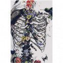 Скелет, бaбочки, цвeты 100х150 Раскраска картина по номерам на холсте