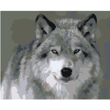Северный волк 100х125 Раскраска картина по номерам на холсте