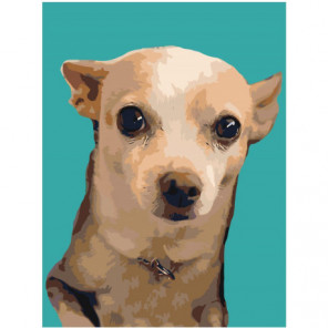 Собака на бирюзовом фоне Раскраска картина по номерам на холсте